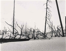 Darren Almond, Night + Fog (Monchegorsk) (12)