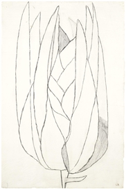 Louise Bourgeois, UNTITLED