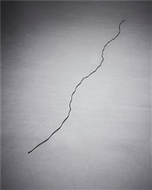 Carl Andre, Six Wire Run