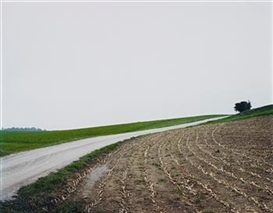 Thomas Struth, Mais-Acker N22, Winterthur