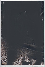 Gerhard Richter, Grey