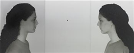 Michelangelo Pistoletto, Gemelle (Mirrored Triptych)
