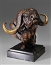 David Schaefer, Cape Buffalo