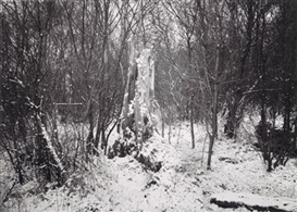 Thomas Joshua Cooper, A premotional work - winter into spring