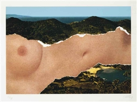 Ellsworth Kelly, Saint Martin Landscape (A. 179; Tyler 324)