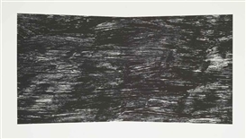 Ellsworth Kelly, Black (Texture) (G. 1885)