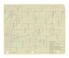Robert Barry, Basic format. Meandering line in the Forest