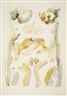 Wilhelm Loth, Untitled (torso of female nude)