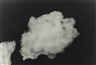 Eve Sonneman, Consideration