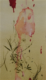 Darren Waterston, Untitled