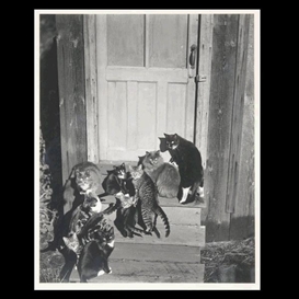 Edward Weston, Family Group on Wildcat Hill