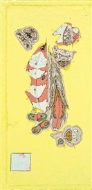 Rohan Wealleans, Yellow Draw
