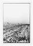 Balthasar Burkhard, Untitled (Landscape)