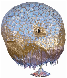 Rohan Wealleans, Blue Brain