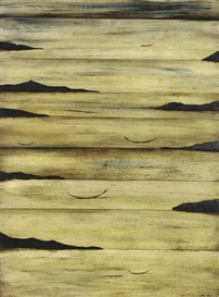 Simon Kaan, Untitled