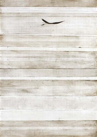 Simon Kaan, Diptych: Untitled - Manaia