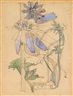 Charles Rennie Mackintosh, Chickory