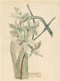 Charles Rennie Mackintosh, Grass Hyacinthe