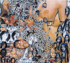 Thomas Hirschhorn, Power of Brazil