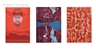 Gabor Peterdi, Suite of Six Works Created in Conjunction with the Publication of GABOR PETERDI
