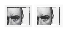 Douglas Gordon, Pushed; Fell: two works