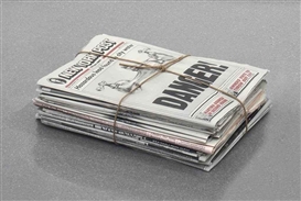 Robert Gober, Newspaper