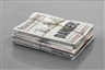 Robert Gober, Newspaper