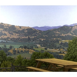 Sandra Mendelsohn Rubin, Anderson Valley