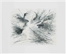Julie Mehretu, Fracture