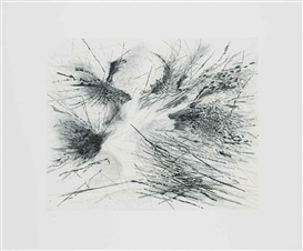 Julie Mehretu, Fracture