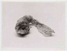 Rosemarie Trockel, Six works: Landschaft mit Frauenfigur