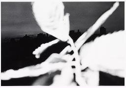 Ray Metzker, 80CW-34