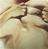 Glen Luchford, Jenny Saville, Closed Contact #2