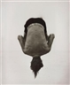Photographs - Phillips London