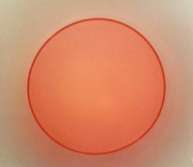 Garry Fabian Miller, 3 works: Illumine