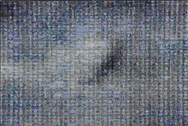 Rashid Rana, Dead Bird Flying-6