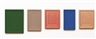 Allan McCollum, Five Colored Surrogates