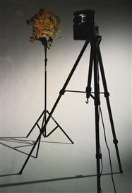 Tony Oursler, Violent Flowers