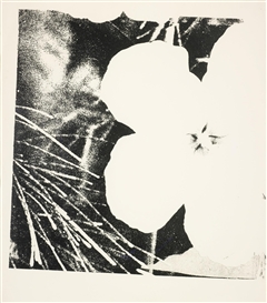 Andy Warhol, Flowers