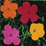 Elaine Sturtevant, Warhol Flowers