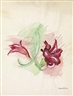Susanne Duchamp, Collection of 25 drawings