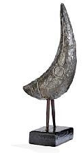 Sven Dalsgaard, Fugl (Bird)