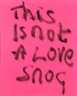 Fiona Banner, This is not a Love Song