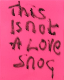 Fiona Banner, This is not a Love Song