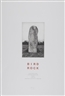 Hamish Fulton, Bird Rock
