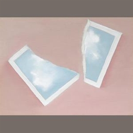Joe Goode, Untitled