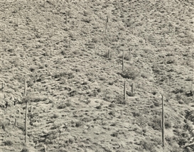 Frederick Sommer, ARIZONA LANDSCAPE