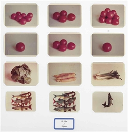 Marcel Broodthaers, La Soupe de Daguerre, 1975