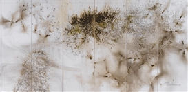 Cai Guo Qiang, Two Lions (Hexaptych)