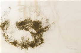 Cai Guo Qiang, Marx's Moustache
